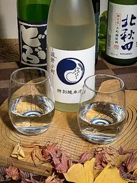 Tōno Komachi Tokubetsu Junmai