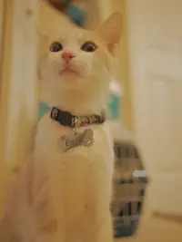 _1140654.webp