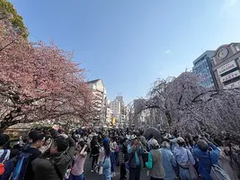 Ueno Park