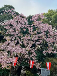 Ueno Park