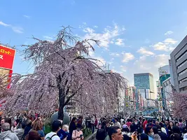 Ueno Park