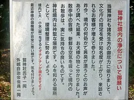 washi-castle-11.webp