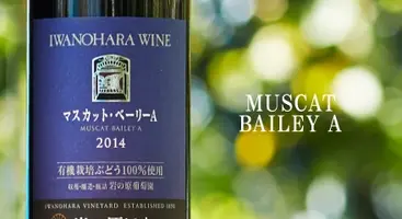 muscata.webp