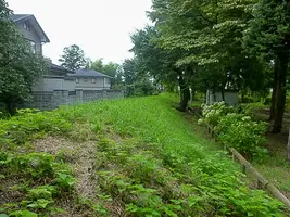 ozo-residence-04.webp