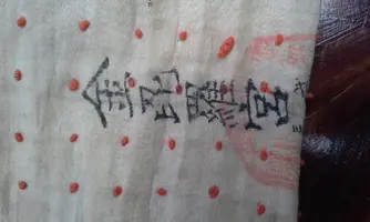 20150727_175001.webp