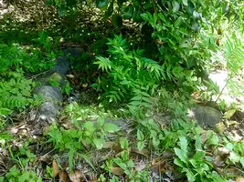 katsunuma-residence-13.webp