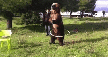 200.gif