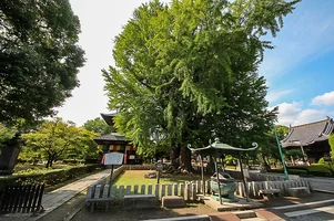 banna-ji-12.webp