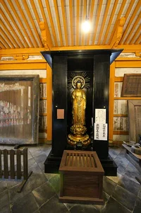 banna-ji-15.webp