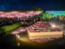 ashikaga-flower-park-2.webp