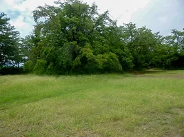 koyama-castle-05.webp