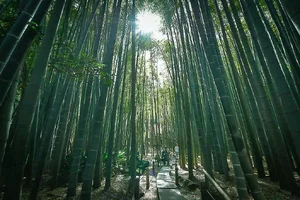 hokokuji04.webp