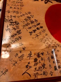 IMG_5308.webp