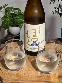 Sawaya Matsumoto Shuhari Gohyakumangoku