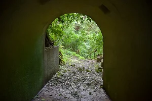 ankokuronji-21.webp