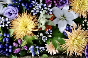 DSCF2359.webp