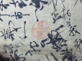 1000027047.webp