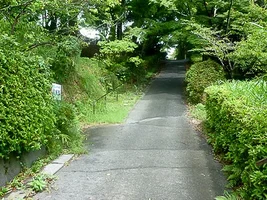 kakekawa-castle-23.webp