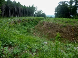 suwahara-castle-01.webp