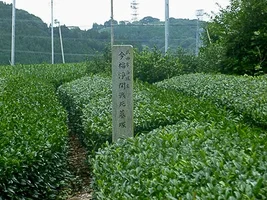 suwahara-castle-05.webp