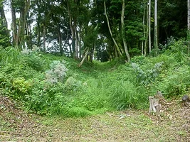 suwahara-castle-06.webp