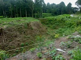 suwahara-castle-07.webp
