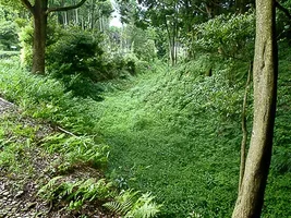 suwahara-castle-08.webp