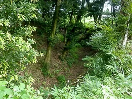 suwahara-castle-09.webp