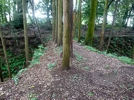 suwahara-castle-12.webp