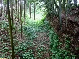 suwahara-castle-13.webp