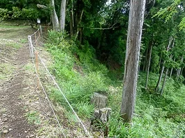 suwahara-castle-18.webp