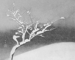 Hayami-Nightly-Snow.webp