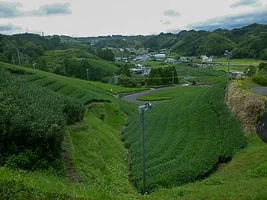 katsumata-castle-06.webp
