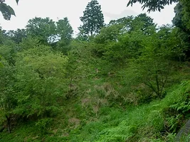 katsumata-castle-12.webp