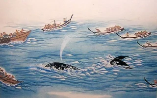 whaling-history-2.webp
