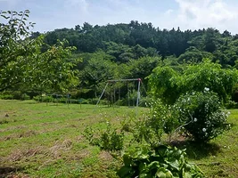 okawa-castle-08.webp
