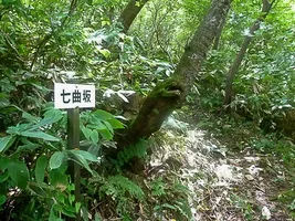 okawa-castle-13.webp