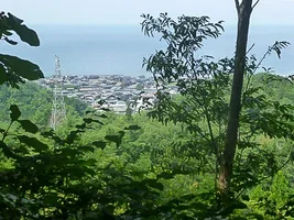 okawa-castle-18.webp