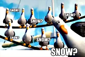 snow.webp