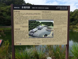 DSC02507.webp