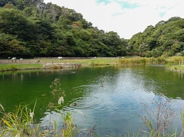 yofuku-ji-02.webp
