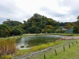 yofuku-ji-19.webp
