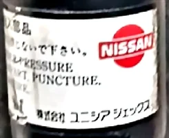 sa2.webp
