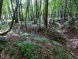 obazawa-castle-01.webp