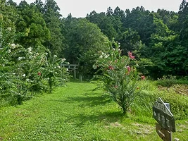 obazawa-castle-06.webp