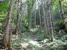 obazawa-castle-07.webp