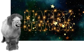 1767192383867.webp