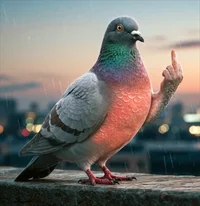 pgtf.webp