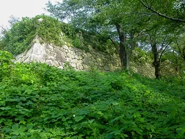 murakami-castle-01.webp
