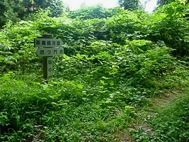 murakami-castle-19.webp